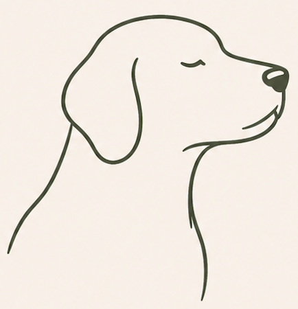 Chiens