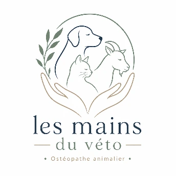 Les mains du véto